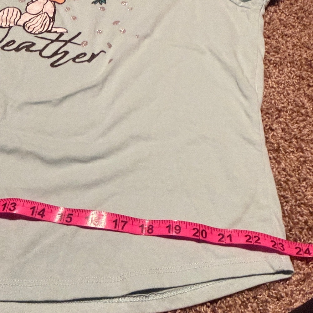 ‘Snuggle Weather’ Snoopy & Woodstock t-shirt w/glitter accent (XXL) - EUC! - Picture 3 of 6